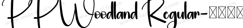 PP Woodland Regular字体转换